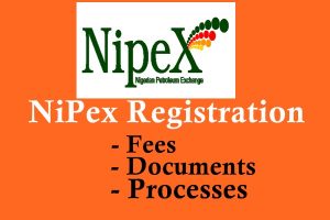 NipeX Registration Process- SOW